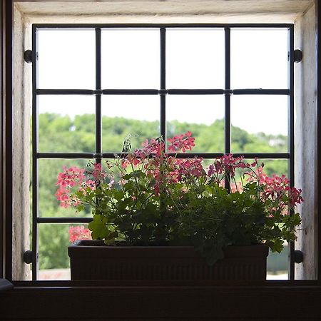 Agriturismo Althea Vittorio Veneto Eksteriør bilde