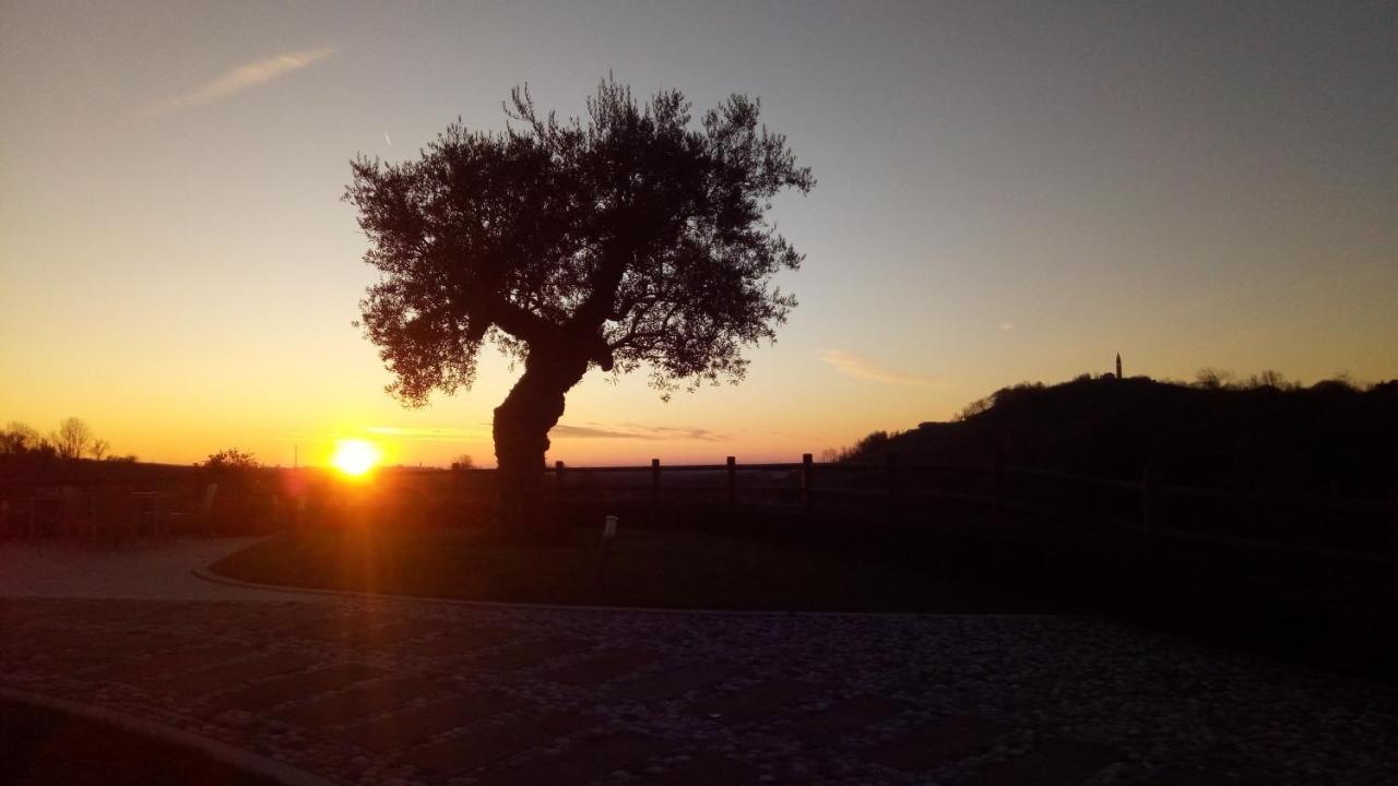 Agriturismo Althea Vittorio Veneto Eksteriør bilde