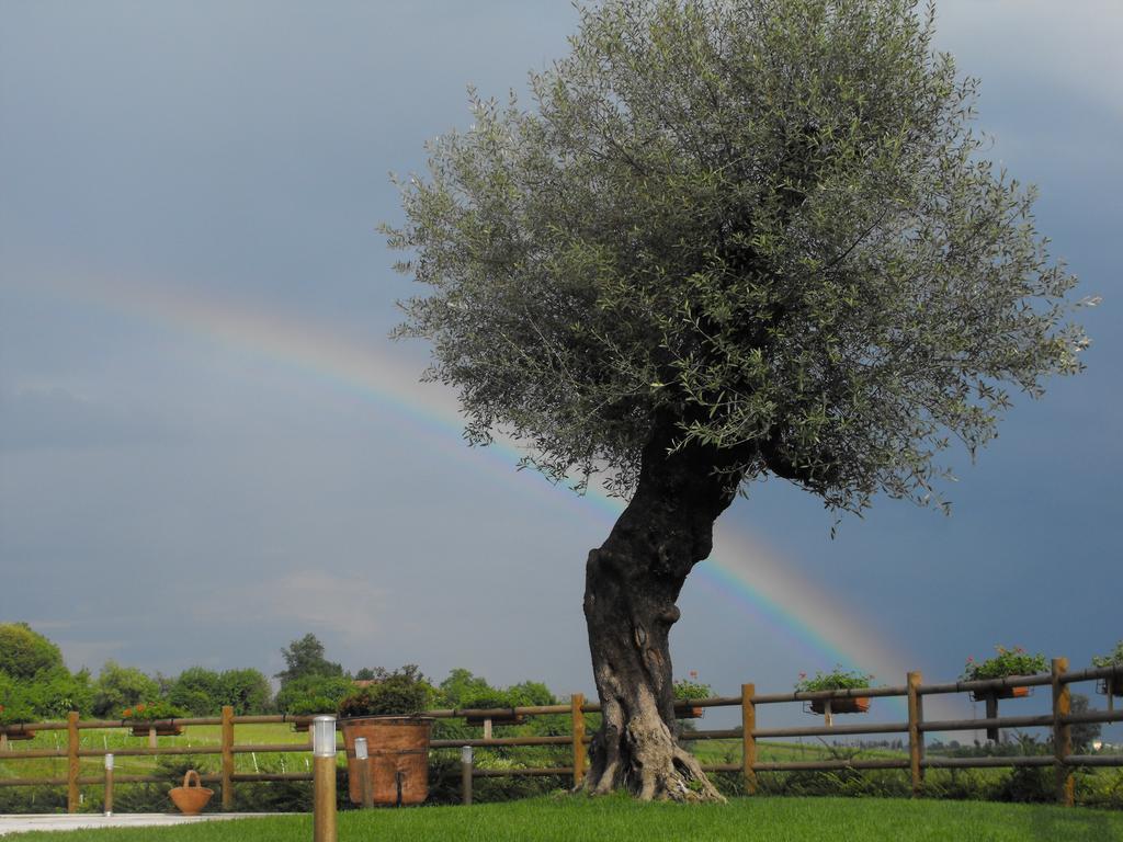 Agriturismo Althea Vittorio Veneto Eksteriør bilde